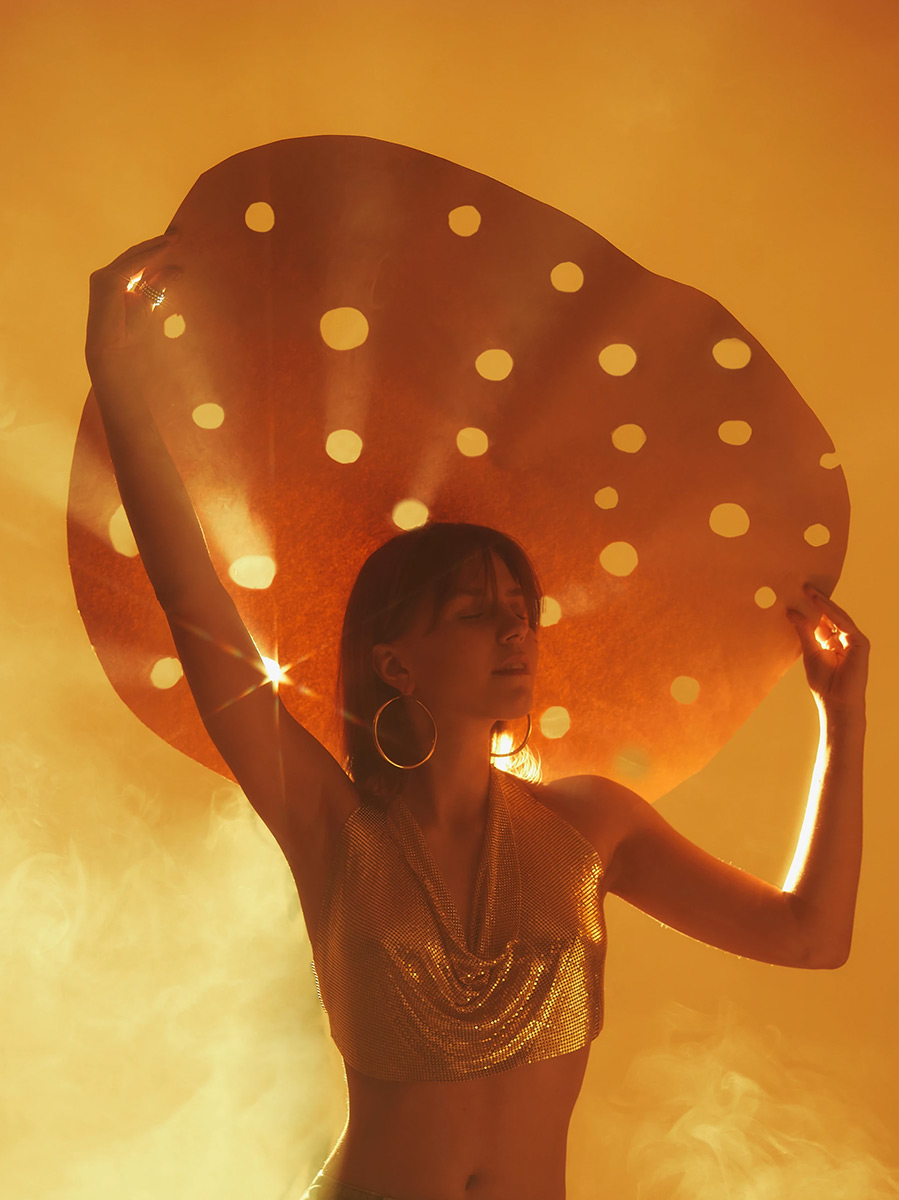 mushroom_resize